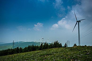 还是那么难 《艾尔登法环：黑夜君临》公布测试数据